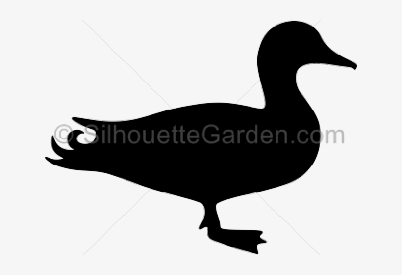 Wood Duck Clipart Silhouette Flying - Mallard Duck Silhouette Clip Art, transparent png #10072041