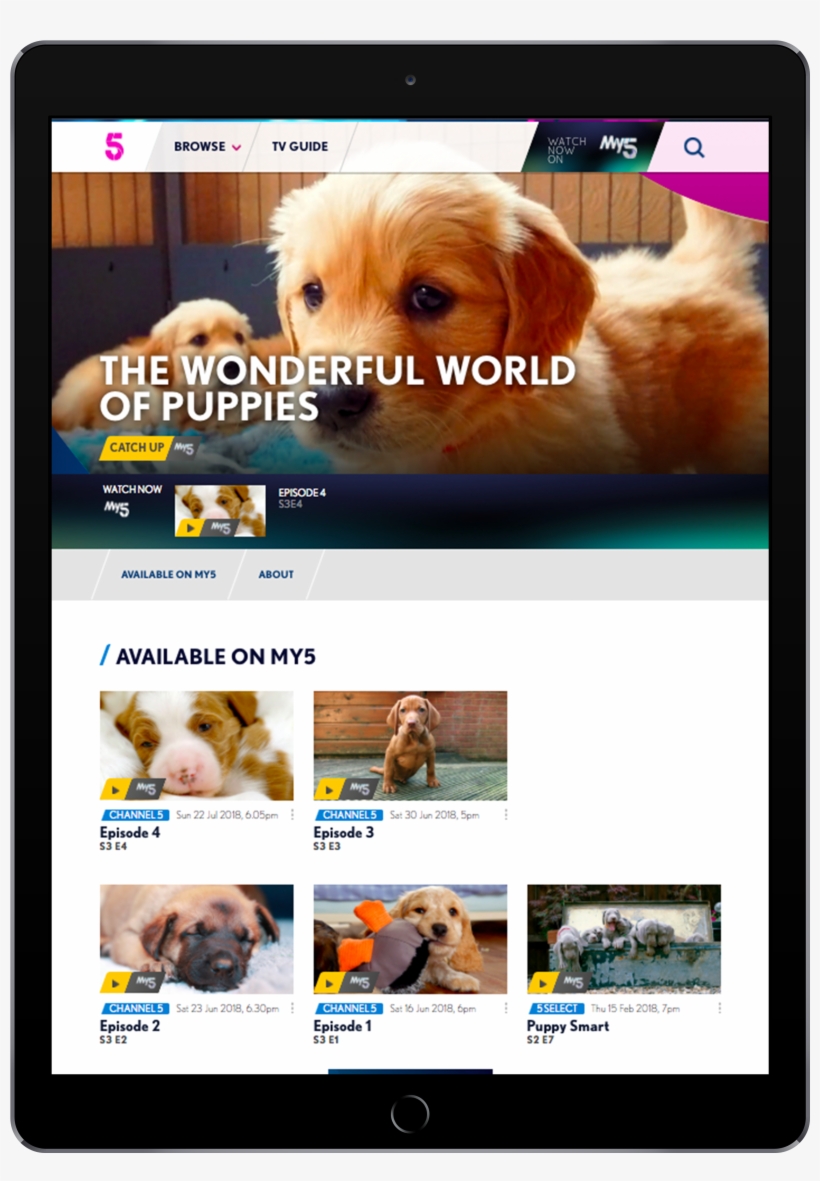 Ipad Pro Mockup Portrait, transparent png #10072103