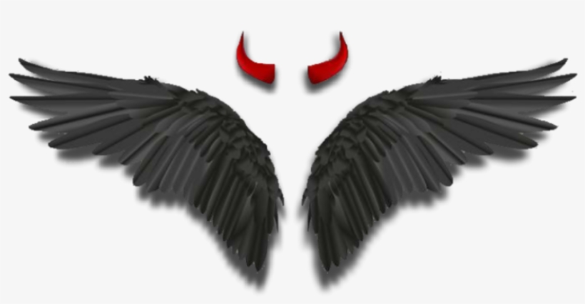 #wings #angelwings #darkangel #devil #horns #black - Eagle, transparent png #10073057