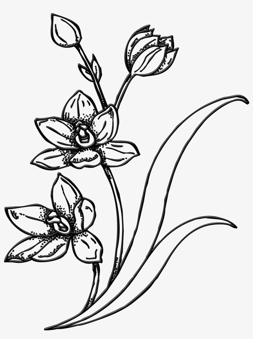 Drawing Spring Garden - Line Art Bunga Png, transparent png #10074711