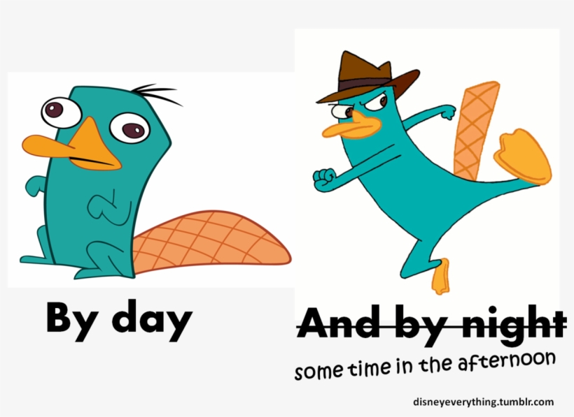 “ Follow For More Disney's Phineas And Ferb Agent P/ - Perry The Platypus Derp, transparent png #10075363