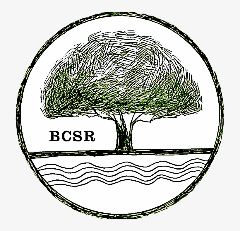 713 X 709 5 - Drawing, transparent png #10076211
