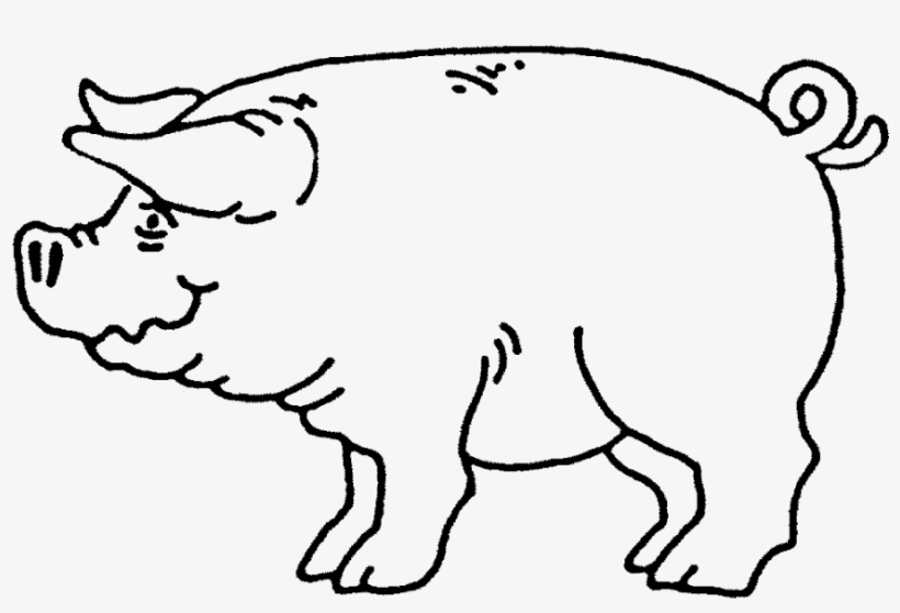 Zoom Pig Rubber Stamp - Line Art, transparent png #10076425