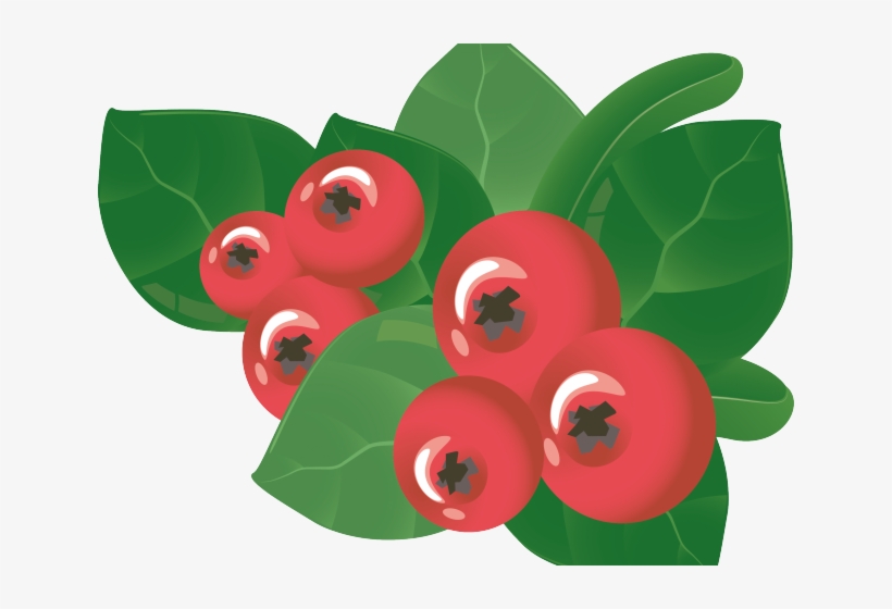 Berry Clipart Mango - Crown Of Thorns, transparent png #10077491