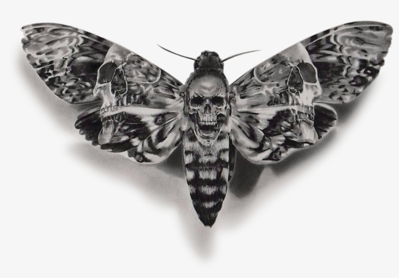 Dead Head Hawk Moth, transparent png. 