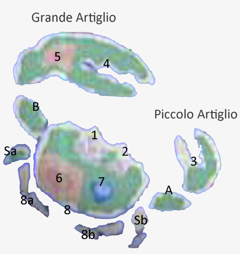 Here Is The Mapping Of Where The Main Levels Will Be - Green Sea Turtle, transparent png #10079122