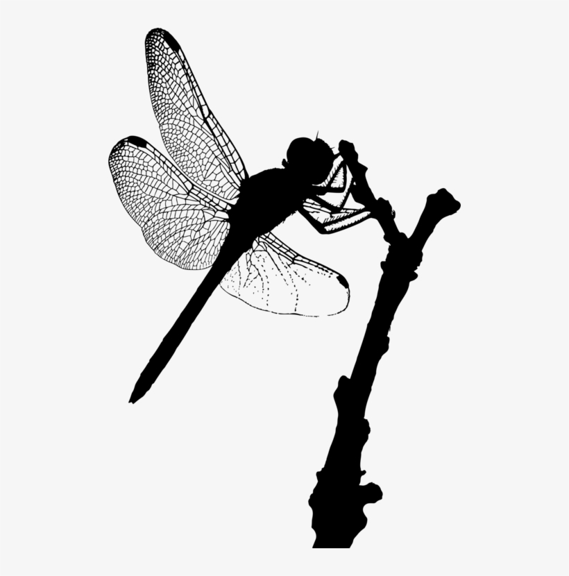 Insect Silhouette Shoe Line Dragonfly - Fairy, transparent png #10079384