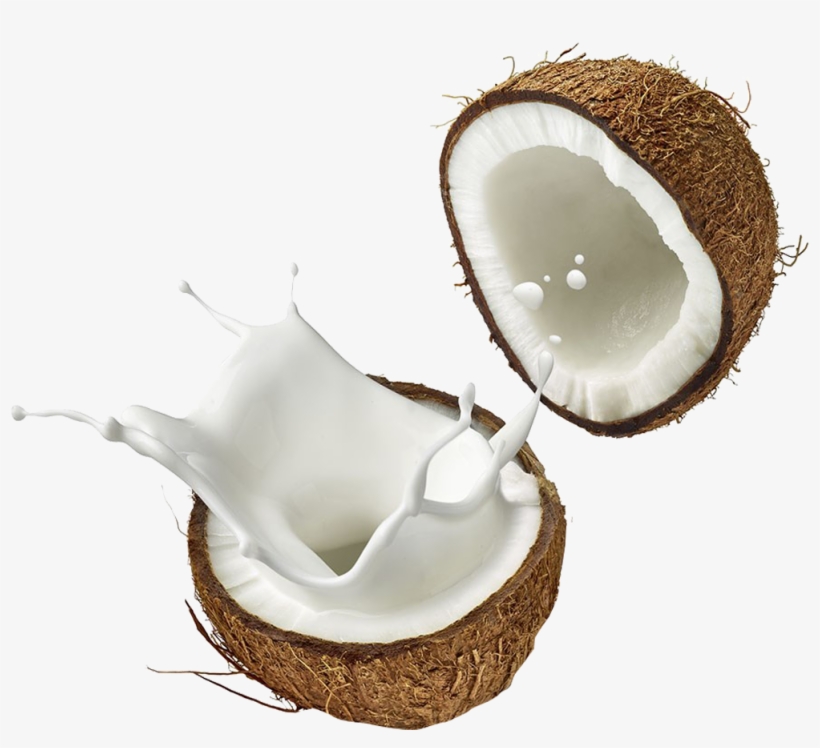 Coconut Png Background Image - Coconut Png, transparent png #10080834