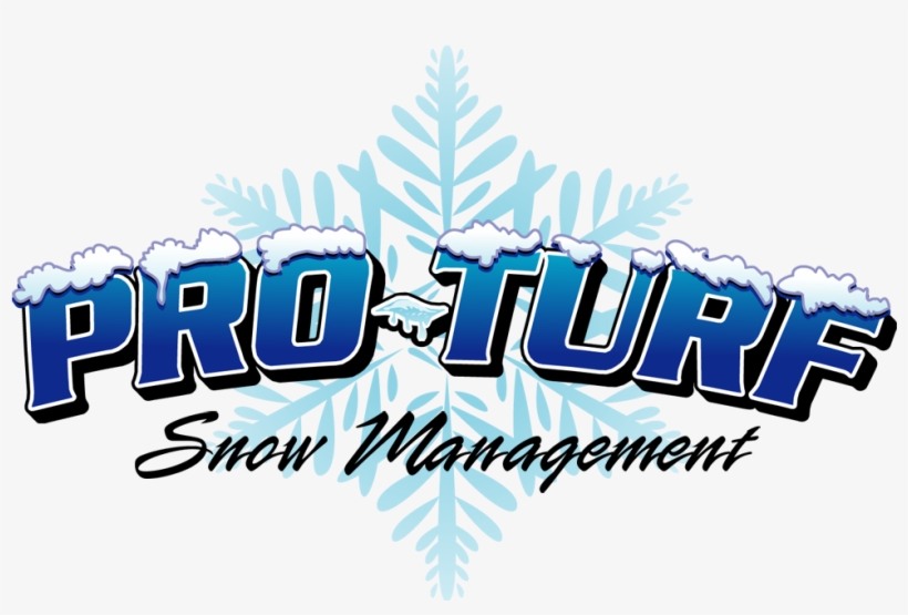 Logo- Snow - Graphic Design, transparent png #10083978