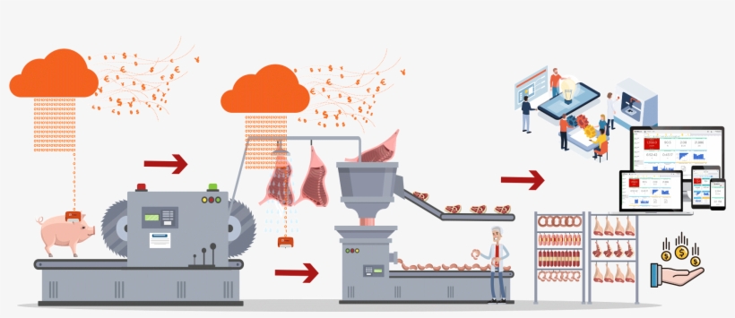 Pork - Proceso De Producción De Carne, transparent png #10084291