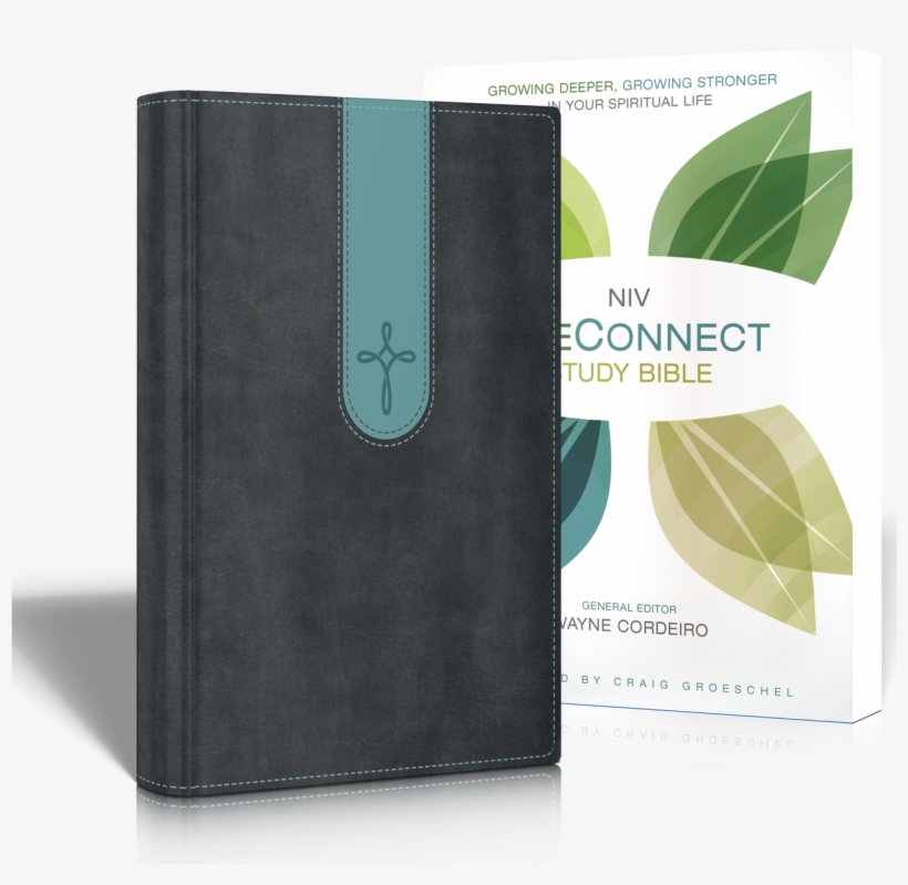 Niv Lifeconnect Bible - Life Connect Study Bible: Growing Deeper, Growing Stronger, transparent png #10086196