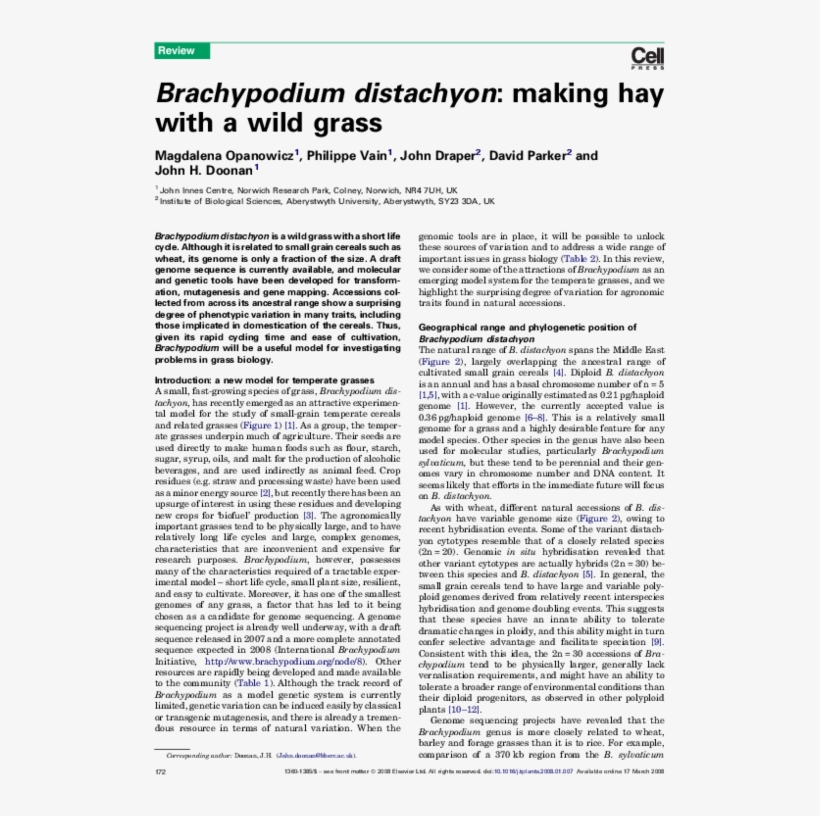 Pdf - Document, transparent png #10086776