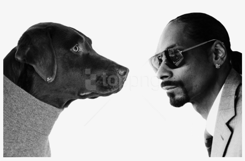 Free Png Snoop Dogg Png - Snoop Dogg Background White, transparent png #10087525