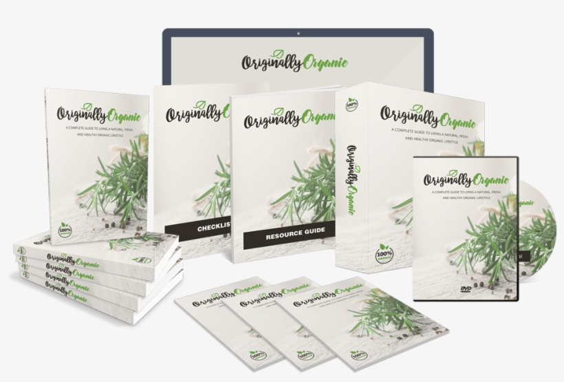 Does It Really Work - Palm Tree, transparent png #10088799