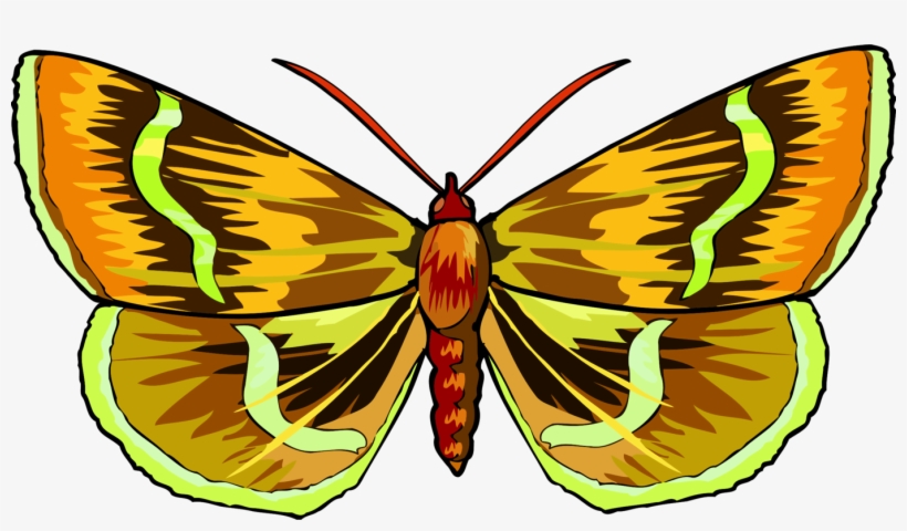 Monarch Butterfly Moth App Store Brush-footed Butterflies - Clip Art, transparent png #10088911