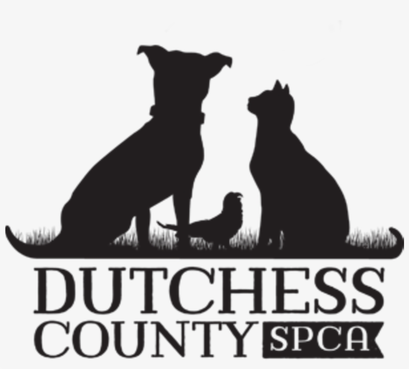 Animal-tiques Roadshow - Guard Dog, transparent png #10089493