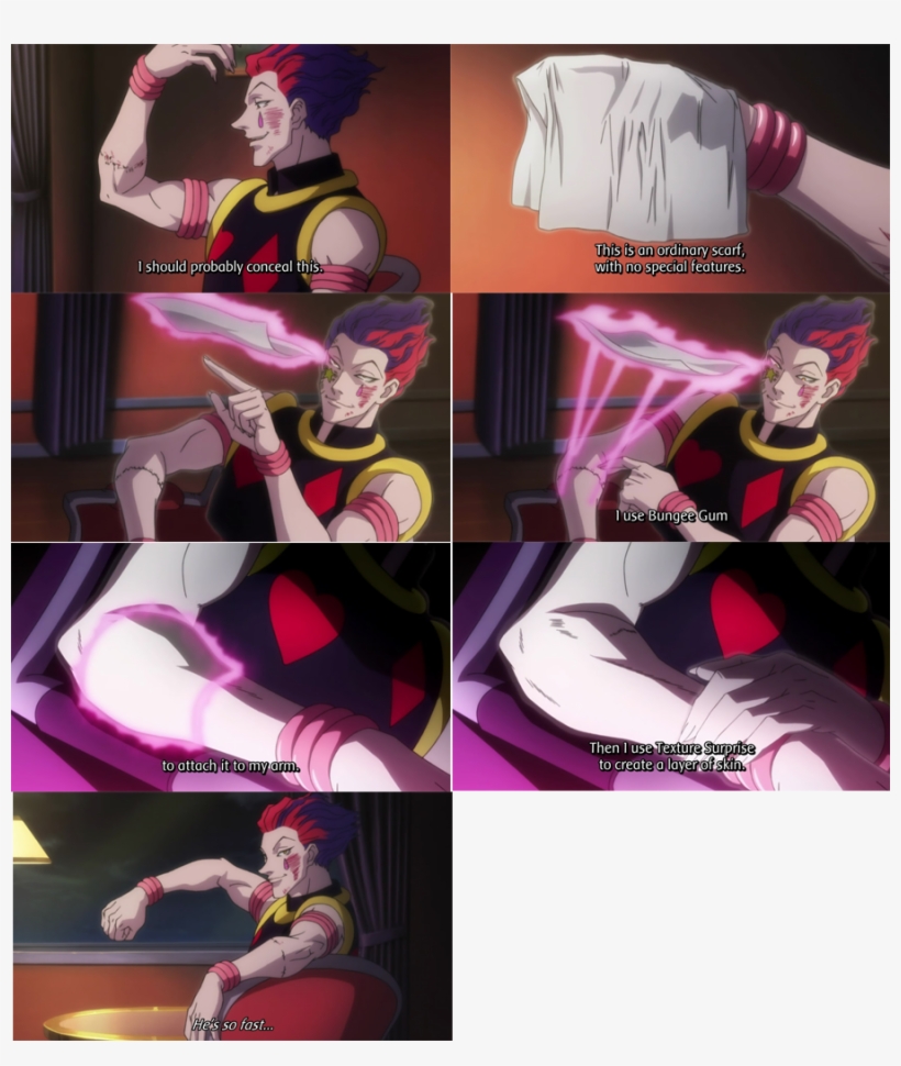 The First Is A Detailed Look At Hisoka's Stumps, The - Cartoon, transparent png #10089651