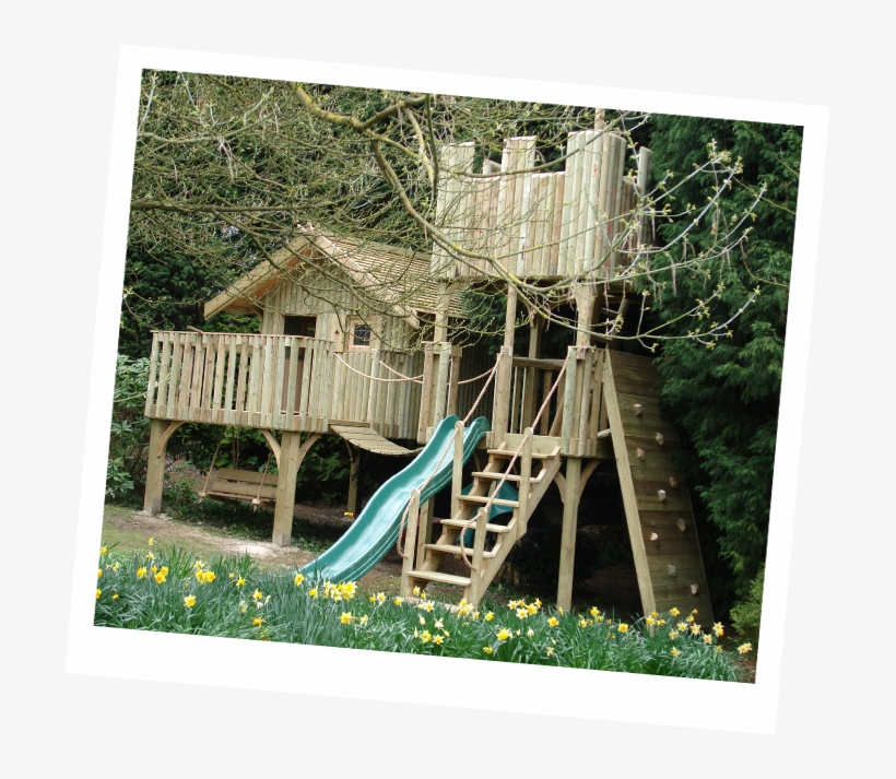 Treehouse - Treehouse 7, transparent png #10091167