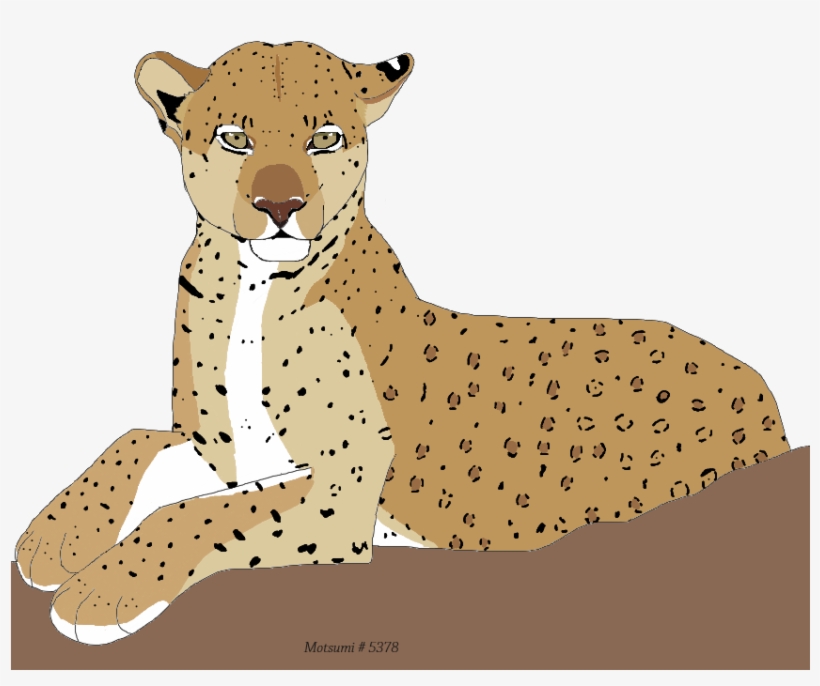 Big Cat Wsp6fj1 - Lion, transparent png #10092292