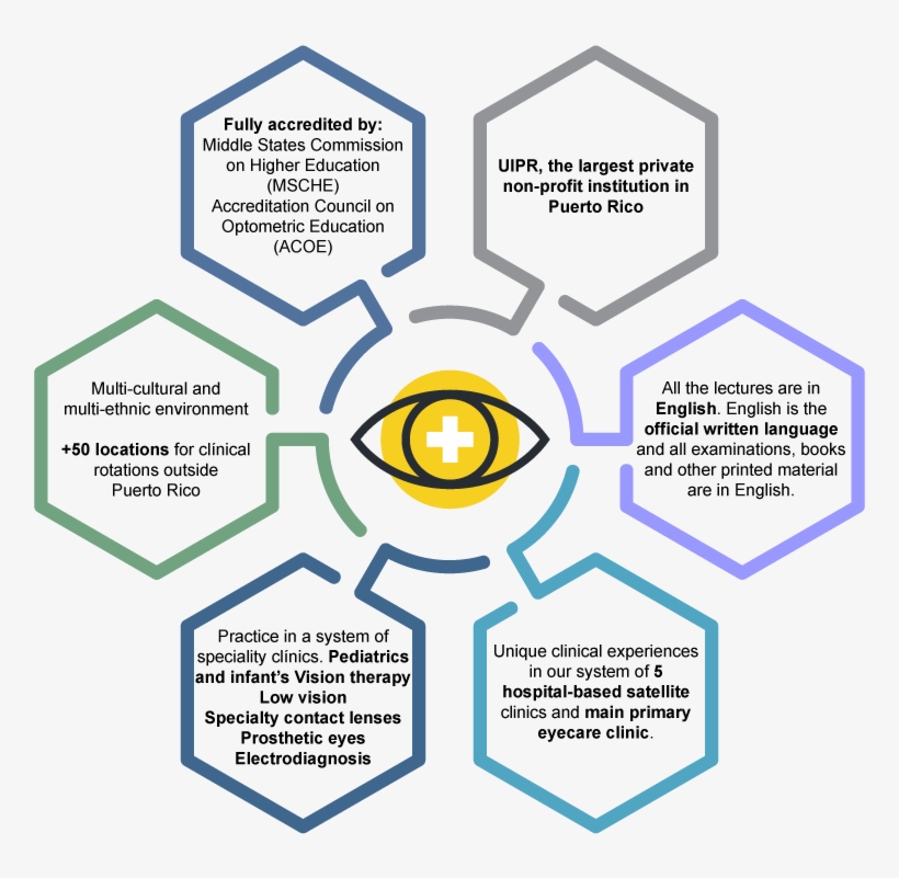 The School Of Optometry At Inter American University - Diagram, transparent png #10092437