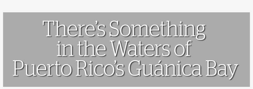 There's Something In The Waters Of Puerto Rico's Guanica - Attitude Sayings, transparent png #10092489