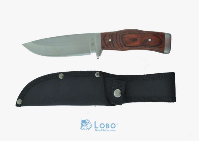 Cuchillo De Monte Mango De Madera Acero Inoxidable - Utility Knife, transparent png #10093775