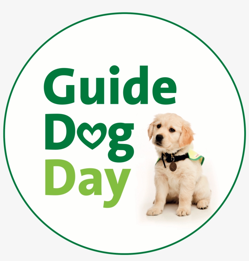 Share This Story - Guide Dog, transparent png #10095447