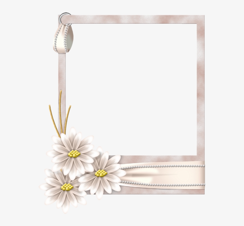 Picture Frame, transparent png #10096455