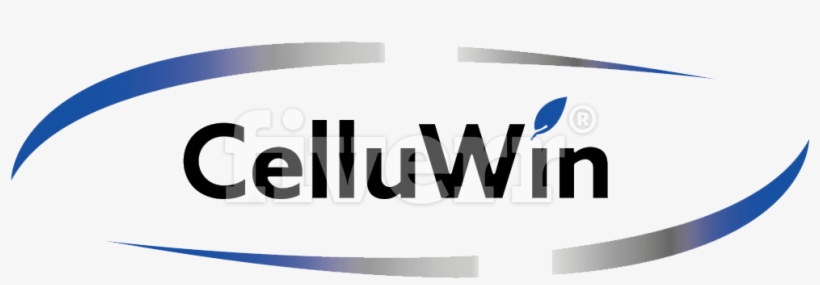 Big Worksample Image - Graphic Design, transparent png #10097374