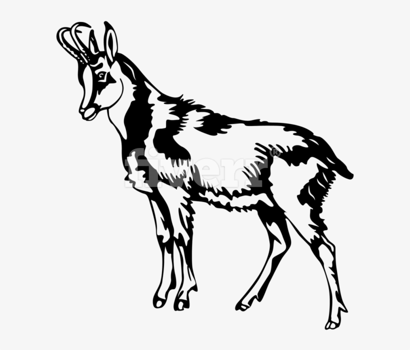 Goat, transparent png #10097437