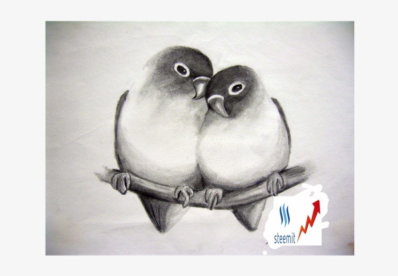 Sparrow Pencil Drawing · Creative Fabrica