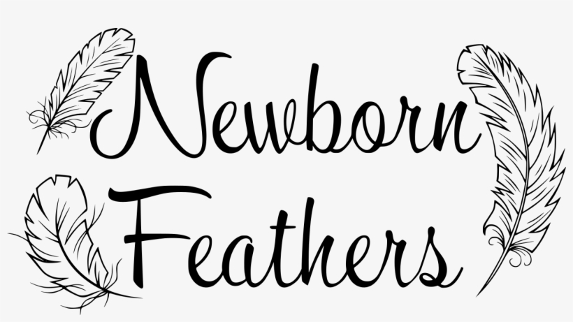 Newborn Feathers Rewards Program - Scene Of The Grime : A Grime Solvers Mystery By Price, transparent png #1010022