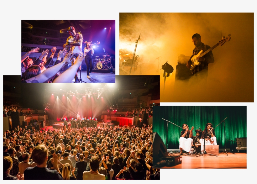 Relive Performances By Elza Soares, Julia Holter & - Junun, transparent png #1010353