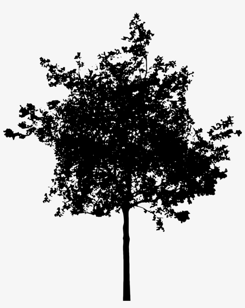 Trees Silhouette Png - Tree Silhouette Png Transparent, transparent png #1010768
