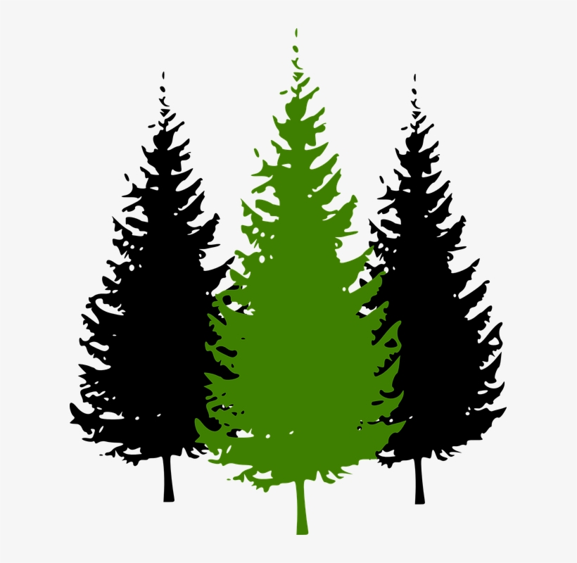 Pine Tree Silhouette Clip Art - Pine Tree Clip Art, transparent png #1011248