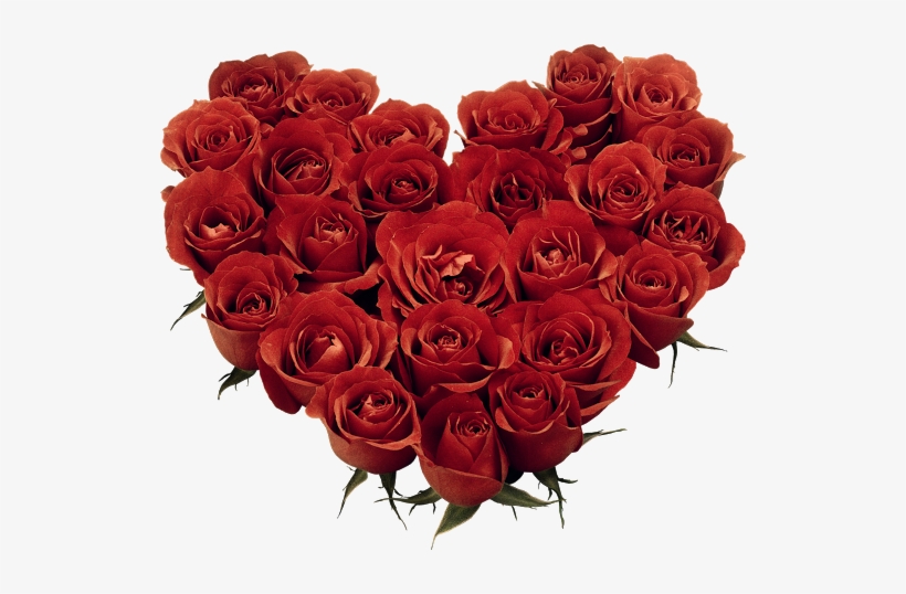 3 - Bp - Blogspot - Com/ Kq2qgkzkscq/upmfrved8 I/aaaaaaabham - Red Rose Image Download, transparent png #1011669