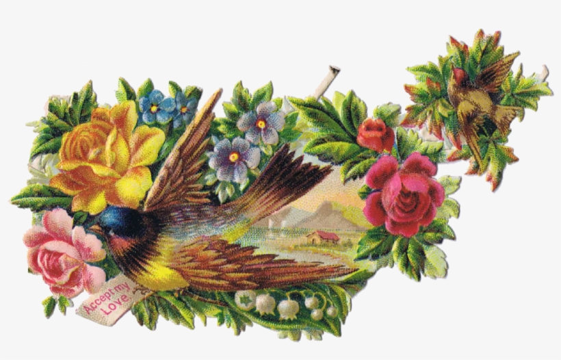 Vintage Bird Clipart - Vintage Birds Graphics, transparent png #1012194
