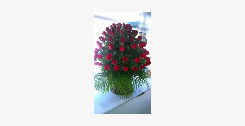 A-01 100 Rosas Rojas En Base Grande - Garden Roses, transparent png #1012305