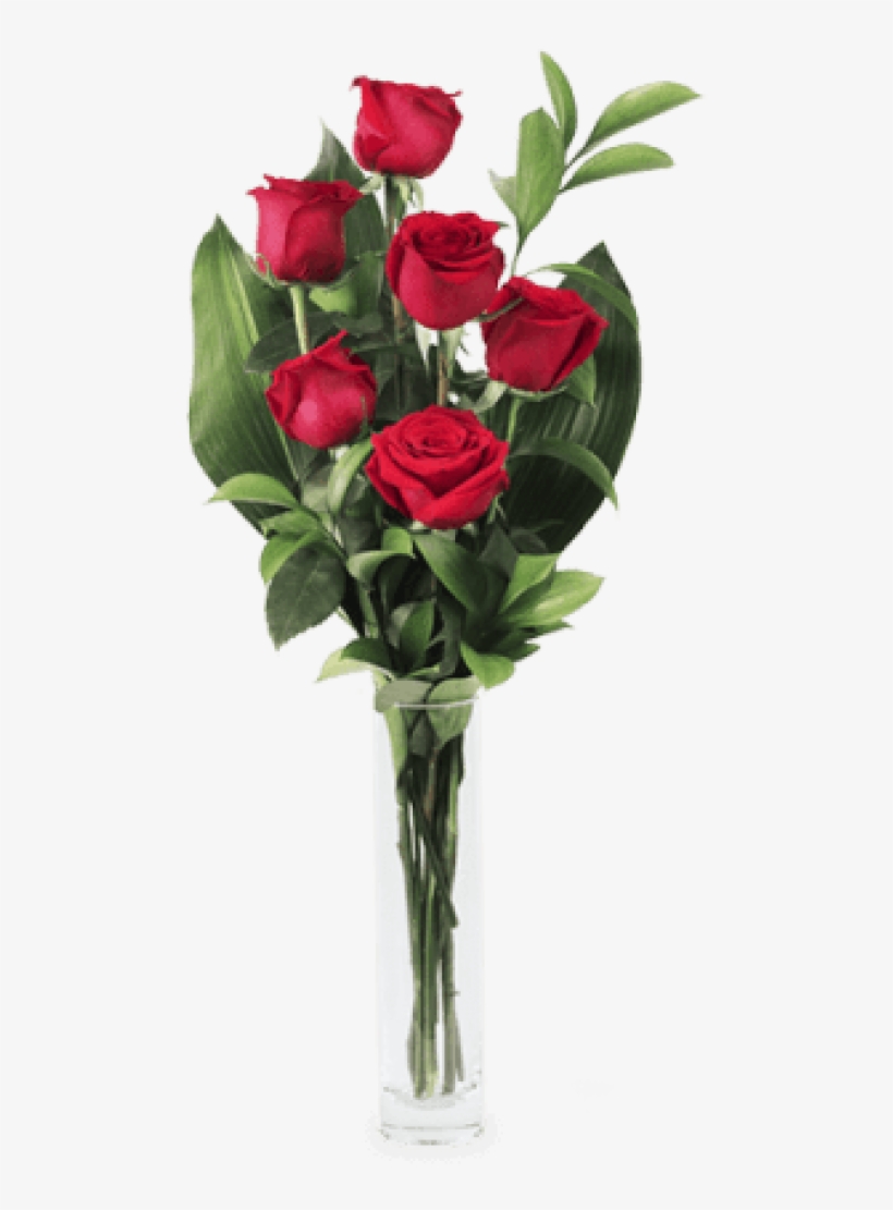 6 Rosas Rojas - Rosas Rojas, transparent png #1012308