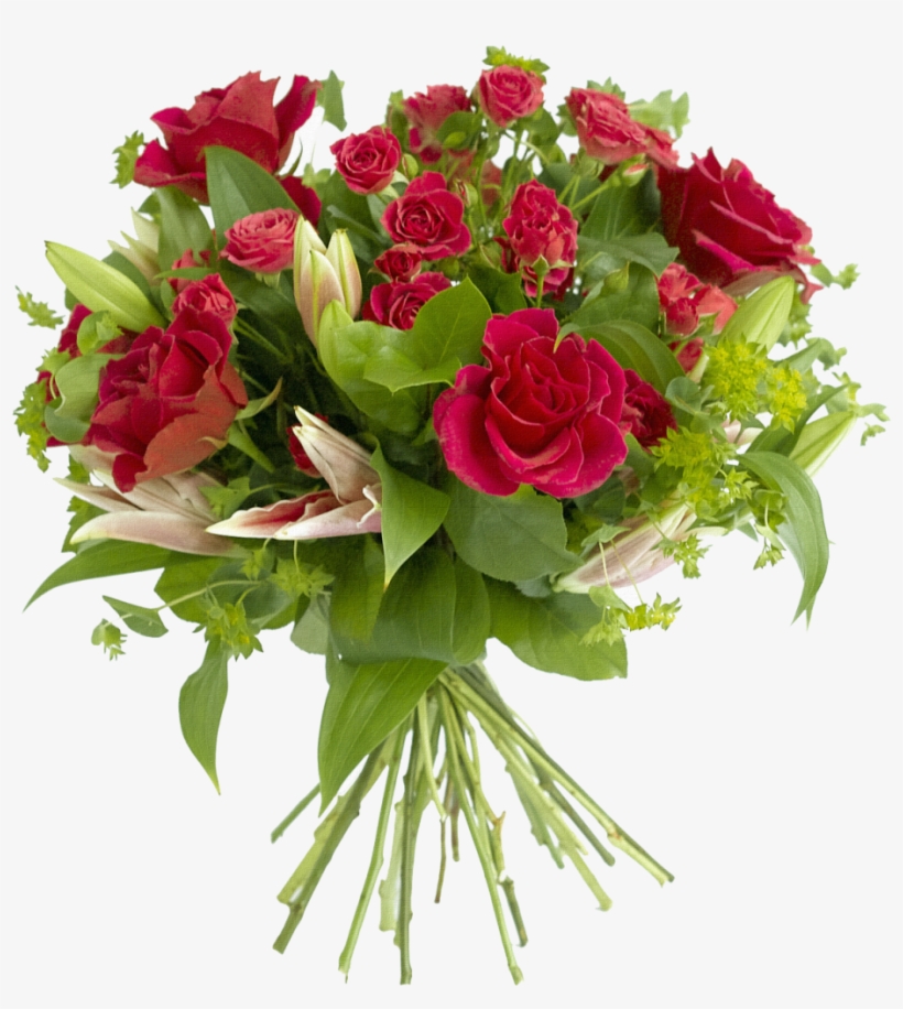Imagen Rojas Im Genes, transparent png #1012565