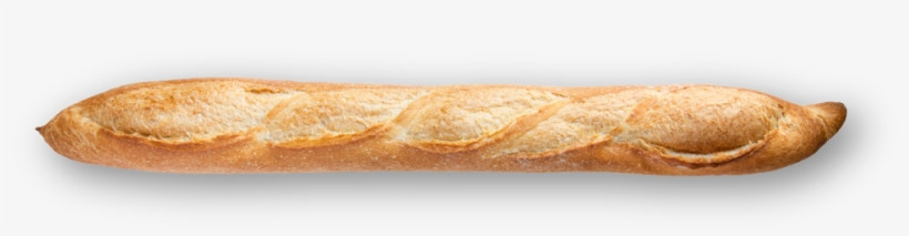 Fin French - Free Transparent PNG Download - PNGkey