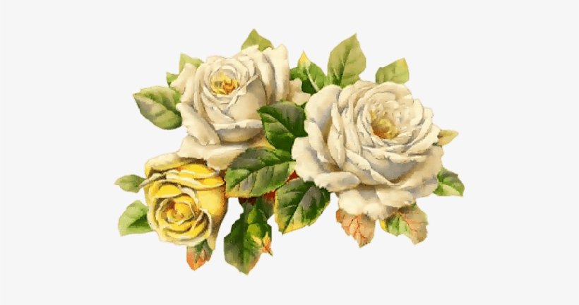 Convite Festa Tropical Aniversário, transparent png #1012742