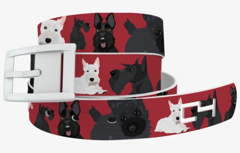 Tap To Expand - Belt, transparent png #1013249