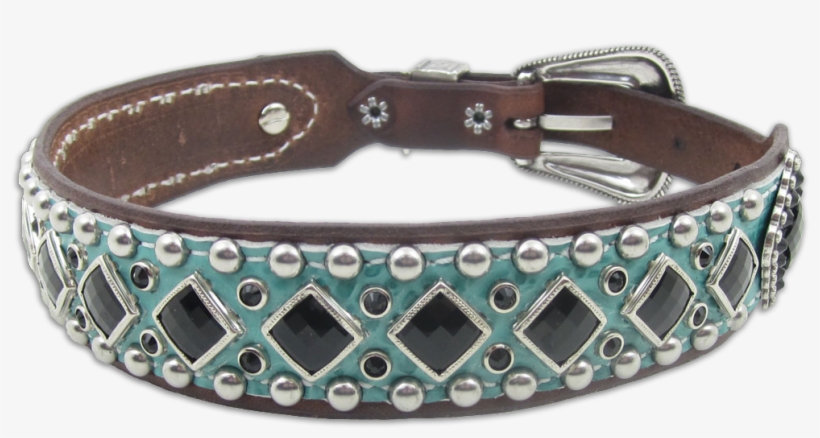 Dog Collar Bright Turquoise Gator - Belt, transparent png #1013346