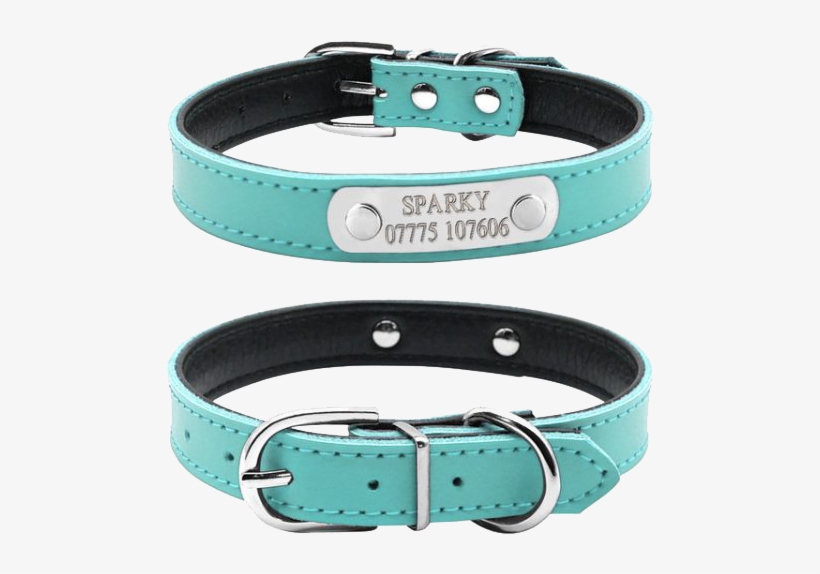 Leather Personalized Dog Collar - Cat Collar Personalised, transparent png #1013370