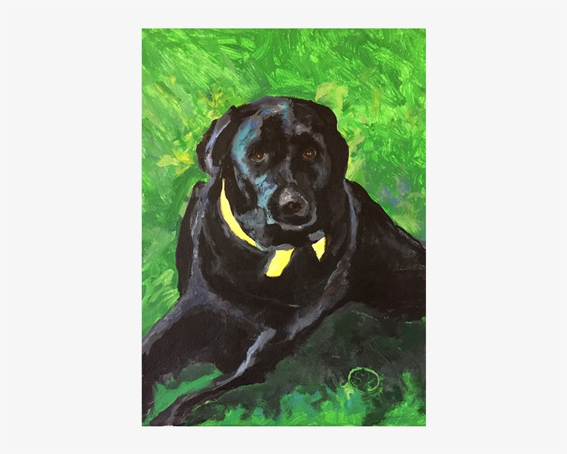 Beau - Labrador Retriever, transparent png #1013371