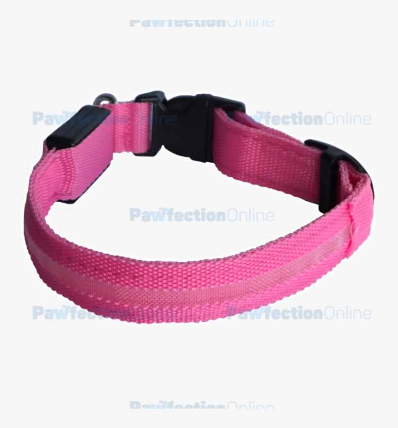 The Durable Nylon Pink Led Dog Collar Is Part Of The - Strap, transparent png #1013446