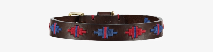 Dog Collars - Dog Collar, transparent png #1013518