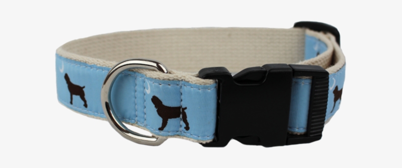 Boykin Spaniel Collar - Boykin Spaniel, transparent png #1013536
