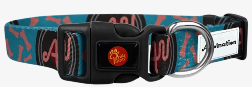 Help Animals Affected And Displaced By Recent Natural - Dog Collar, transparent png #1013636